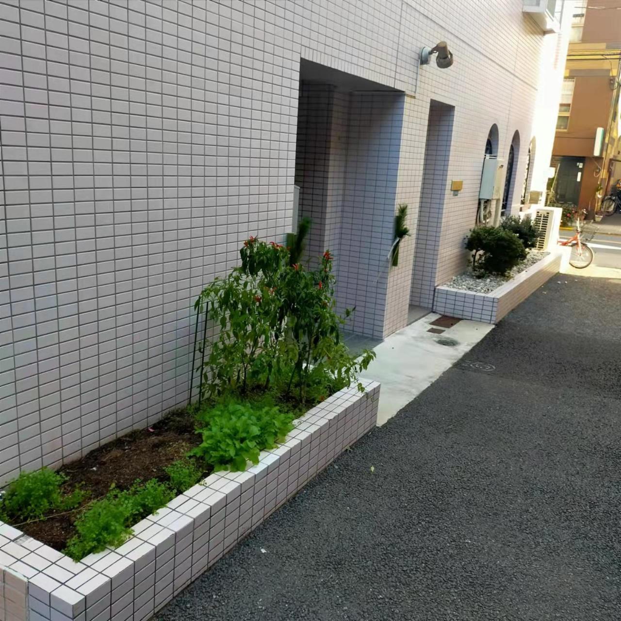 Shiki No Sai Asakusa Tokio Exterior foto